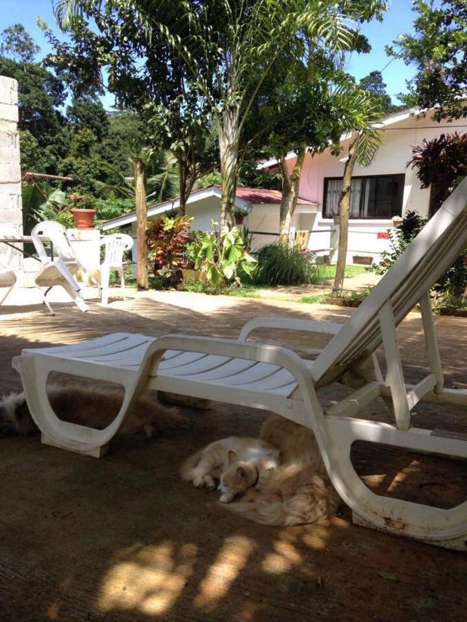 Papayas Self Catering Room Victoria Exterior foto