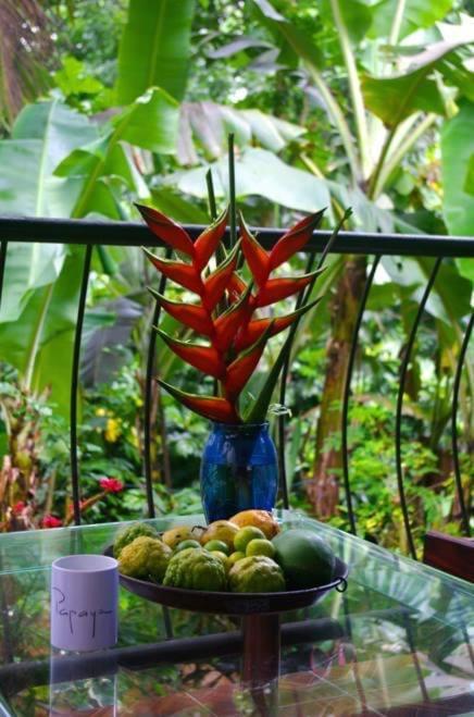 Papayas Self Catering Room Victoria Exterior foto